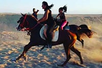 One Hour Horseback Riding Trip with Transfer - Sharm El Sheikh