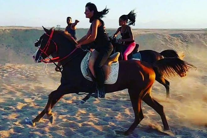 One Hour Horseback Riding Trip with Transfer - Sharm El Sheikh