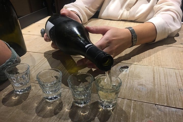 Vip Tour Giza pyramids, sphinx with Camel Ride and Vip lunch