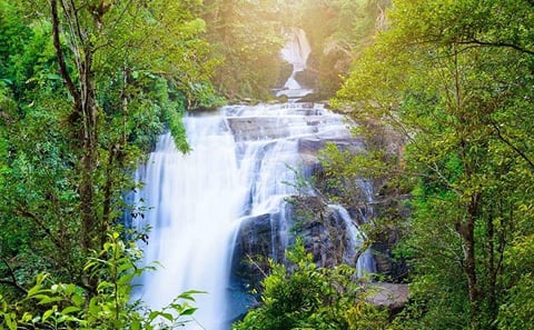 Doi Inthanon National Park Small Group Full Day Tour