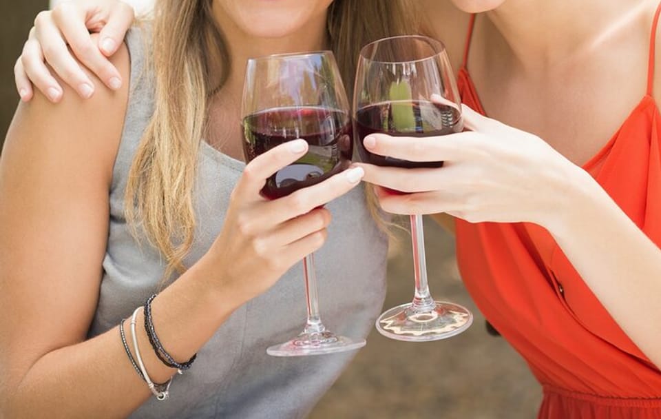 Troodos Grape Escape Tour from Larnaca: Wineries and Villages