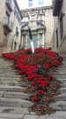Game Of Thrones' Walking Tour of Girona 6