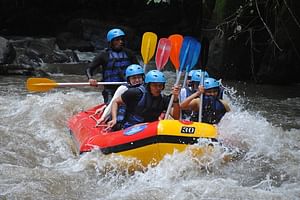 Bali Ayung River Rafting with Lunch and Optional Transfers