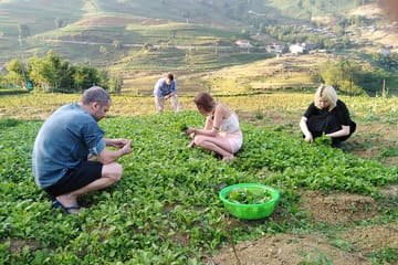 3-Days Sapa Trekking With Local Guide Overnight in Tavan Village