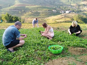 3-Day Sapa Trekking Tour with Local Guide in Tavan Village