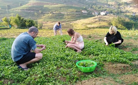 3-Day Sapa Trekking Tour with Local Guide in Tavan Village