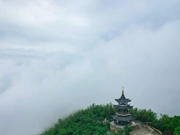 From Shanghai: Yixing Bamboo Sea and Zisha Pottery Day Trip