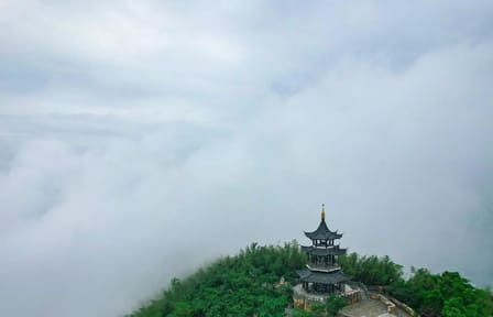 Yixing Bamboo Sea and Zisha Pottery Day Trip from Shanghai