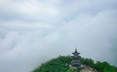 Yixing Bamboo Sea and Zisha Pottery Day Trip from Shanghai