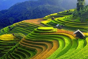 Muong Hoa valley by bike half day tour