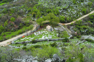 Culinary Tour of Cavtat and Čilipi in Konavle Valley