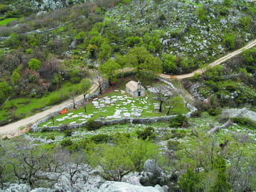 Culinary Tour of Cavtat and Čilipi in Konavle Valley