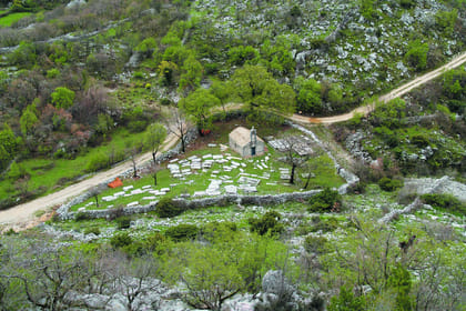 Shore Excursions – Konavle Tavern with Authentic Lunch – Local Experience