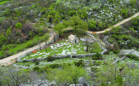 Culinary Tour of Cavtat and Čilipi in Konavle Valley