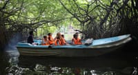 05 Day Adventure Tour excursions From Colombo  9