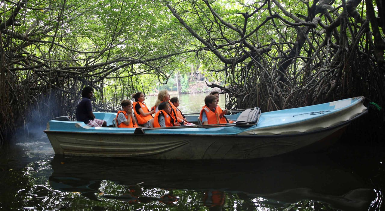 05 Day Adventure Tour excursions From Colombo  9