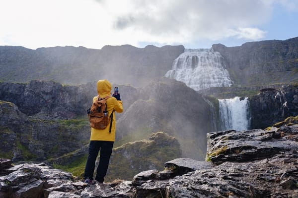 Dynjandi Waterfall & Iceland’s Oldest Bookstore - Westfjords Cruise Tour