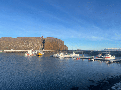 Snæfellsnes Peninsula & Stykkishólmur Small Group Tour from Reykjavik, photo 3