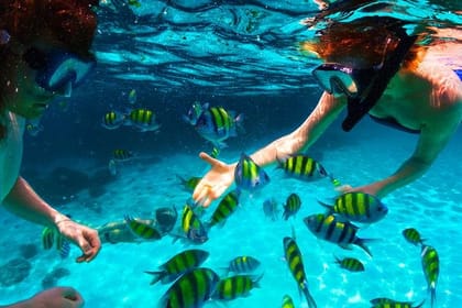 West Bay Aquarium Snorkeling, Beach, Zipline, City Tour & Transfer