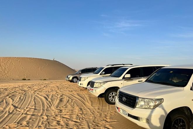 Desert Safari Abu Dhabi Ultimate Experience with Transfers