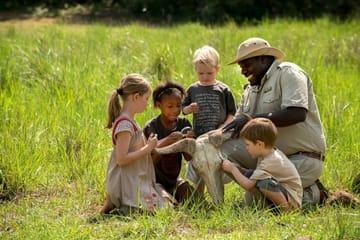 Full-Day African Safari Adventure in Kampala, Uganda