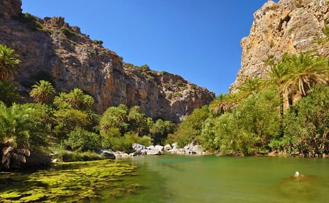 Full-Day Nature Tour to Preveli Palm Beach from Chania