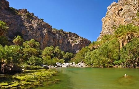 Full-Day Tour to Preveli Palm Beach From Chania