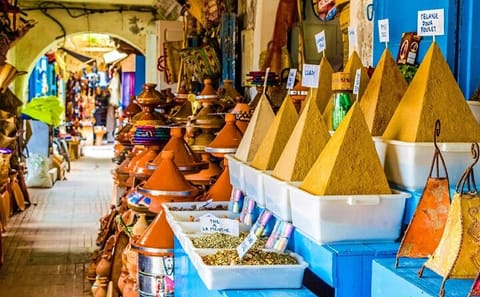 Marrakech Half-Day Guided City Tour with Iconic Landmarks