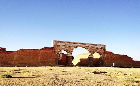 Private Full-Day Desert Castles and Dead Sea Tour from Amman