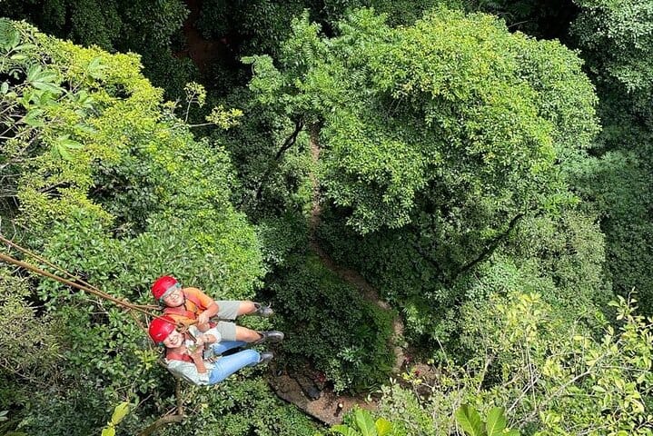 Goes down Jomblang cave