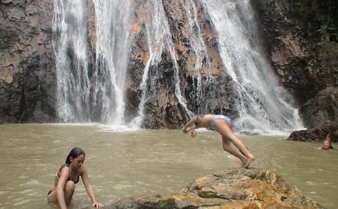 Ko Samui 4WD Wild Jungle Safari Tour with Lunch