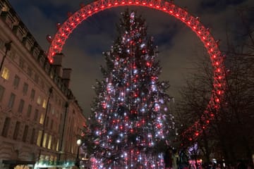 Christmas Lights and Festive Sights Tour in London