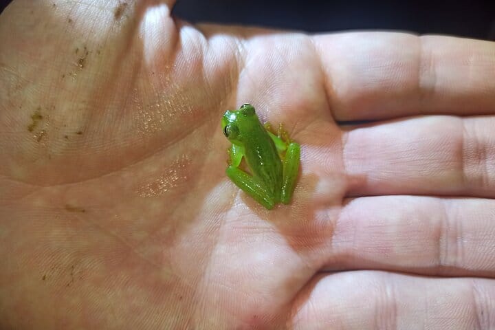 Private Full-Day Mindo Cloud Forest, Butterfly Farm, and Chocolate Tour