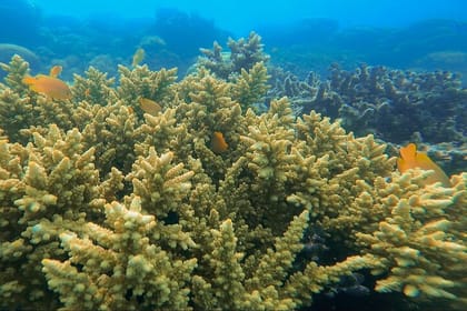 3-Day Sailing Adventure Around Komodo National Park