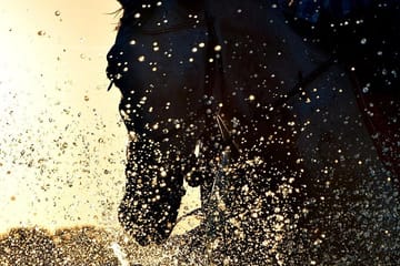 Horseback Riding Along the Beaches of Rhodes, Greece
