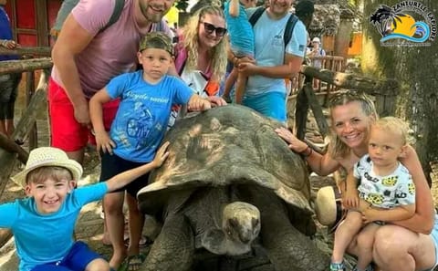 Giant Tortoise and History Tour on Prison Island, Zanzibar