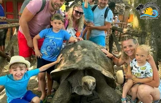 Zanzibar Prison Island Giant Big Tortoise Tour