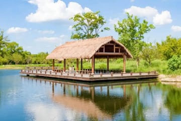 Liangzhu Archaeological Site Tour in Hangzhou