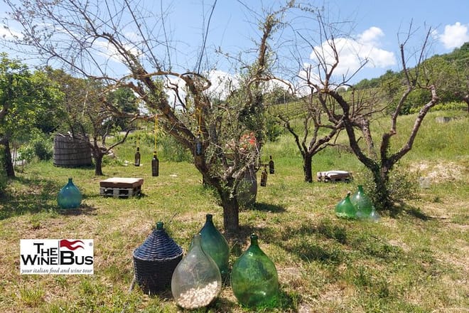 Wine bottle tree
