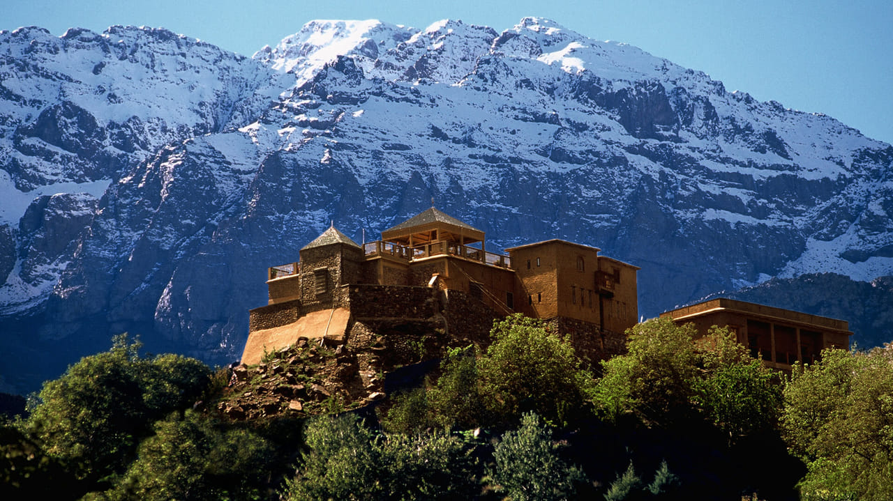Real Morocco – Upscale & VIP | 1 Day : Private & Luxury 7