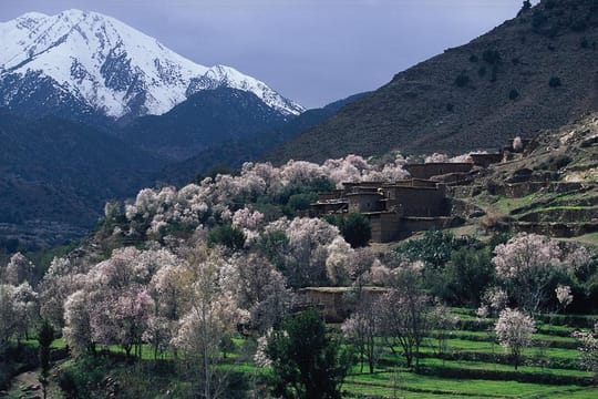 Four Valleys at Atlas Mountains private tour 