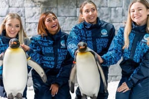 Ski Dubai Tickets