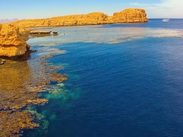 Ras Mohammed National Park by Bus – Nature Reserve Tour from Sharm El Sheikh