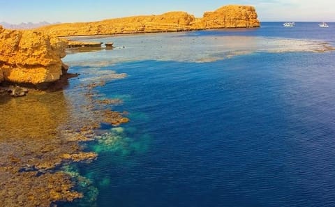 Snorkeling Adventure at Ras Mohamed National Park, Egypt