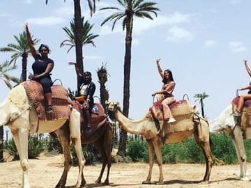 Agafay Desert Quad Biking and Camel Ride near Marrakech