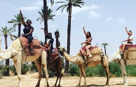 Agafay Desert Quad Biking and Camel Ride near Marrakech