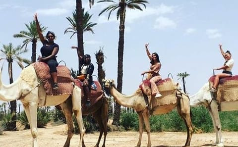 Agafay Desert Quad Biking and Camel Ride near Marrakech