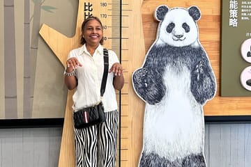 Panda Breeding Center and Chengdu City Tour