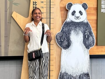 1 Day Panda Breeding Center Plus Chengdu City Tour