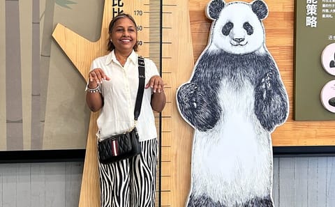 Panda Breeding Center and Chengdu City Tour